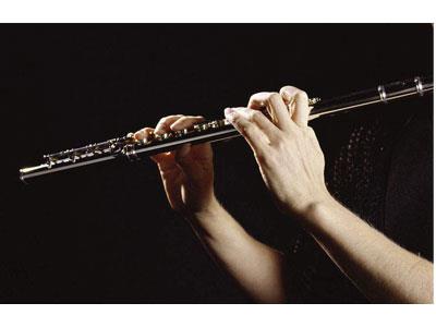 招聘锡林郭勒长笛家教老师